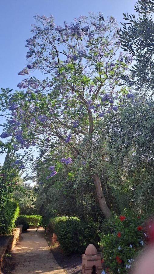 Karibouch Marrakech Διαμέρισμα Μαρακές Εξωτερικό φωτογραφία